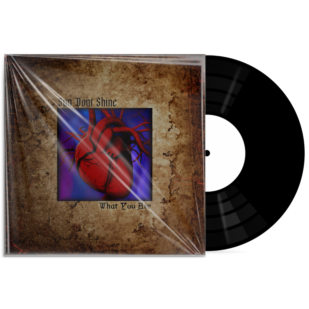 SUN DONT SHINE - What You Are 7inch Vinyl - FREE SHIPPING