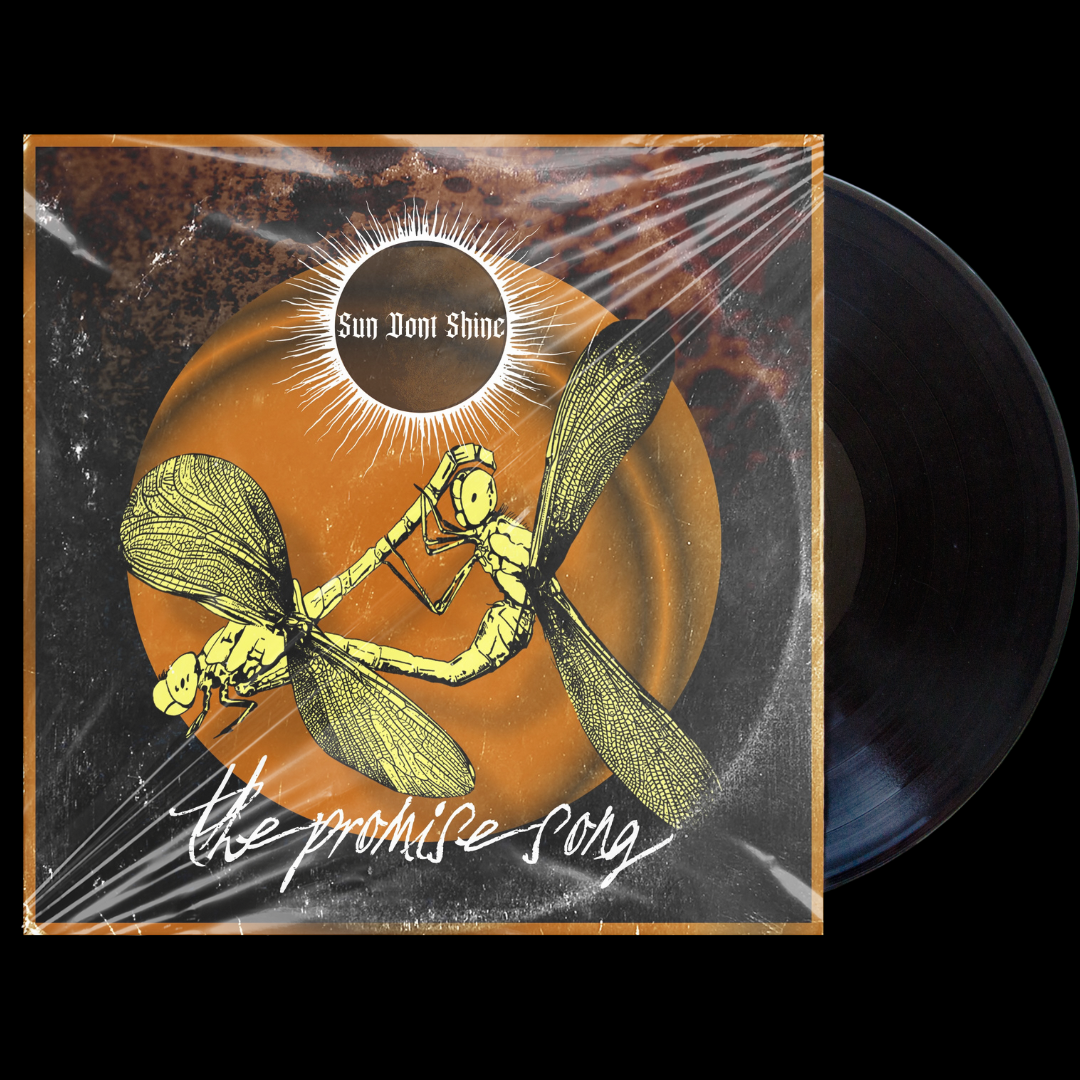 SUN DONT SHINE - the promise song 7 inch Vinyl Record