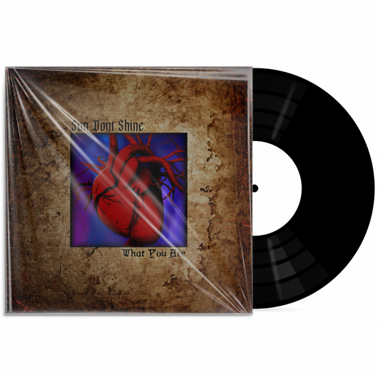 SUN DONT SHINE - What You Are 7inch Vinyl - FREE SHIPPING