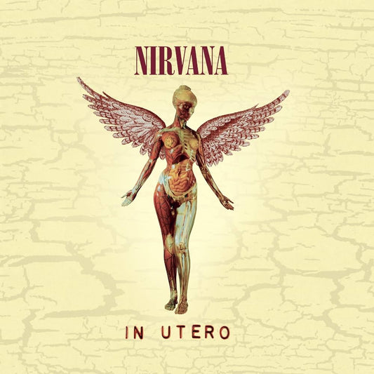 Nirvana-In Utero CD